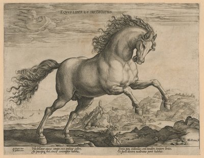dziki koń Eqvvs liber et incompǒsitvs (tytuł na przedmiocie) Rasy koni z Królewskich Stajni Don Juana Austrii (tytuł serii) autorstwa Hendrick Goltzius