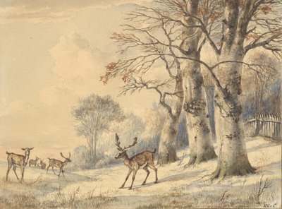 Jeleń pod bukami latem 1853. autorstwa Hendrik Gerrit ten Cate