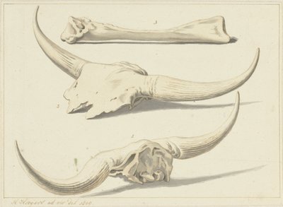Skamieniałe kości tura, znalezione podczas powodzi, 1809 autorstwa Hendrik Hoogers