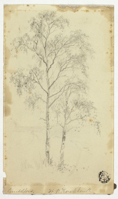Guildford autorstwa Hendrik Pieter Koekkoek