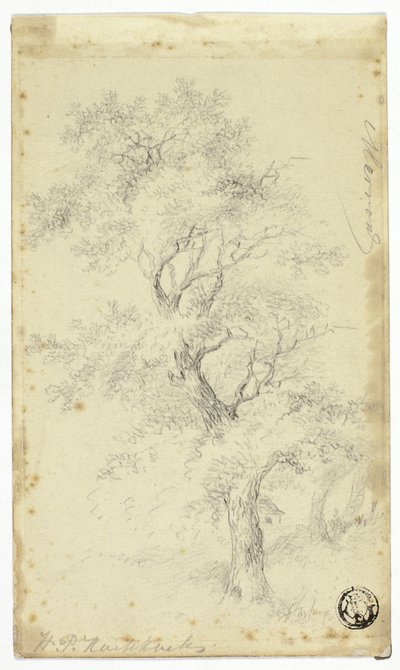Merron autorstwa Hendrik Pieter Koekkoek