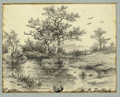 Drzewa nad stawem autorstwa Hendrik Pieter Koekkoek