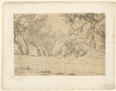 Aleja z zarośniętymi skałami Tentamina Lithographica (tytuł serii) Włoskie pejzaże (tytuł serii) autorstwa Hendrik Voogd