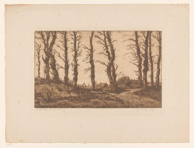 Oud Blaricummerweg (oryginalny tytuł na obiekcie) autorstwa Hendrik Weegewijs (signed by artist)
