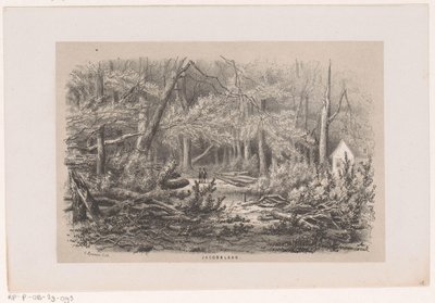 Drzewa zwalone na Jacobalaan, po burzy 28 maja 1860 Jacobalaan (tytuł na obiekcie) Album dziesięciu litografowanych szkiców, przedstawiających Tooneelena Zniszczenia, Poruszony burzą z 28 maja 1860 r. w Gravenhaagsche Bosch, autorstwa Hendrik Wilhelmus Last