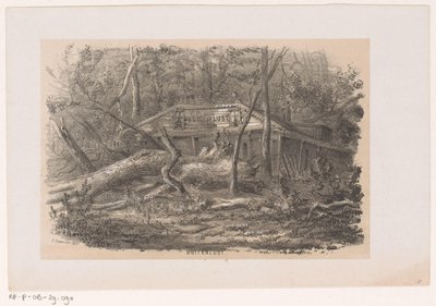 Zwalone drzewo w Buitenlust, po burzy 28 maja 1860 Buitenlust (tytuł na obiekcie) Album dziesięciu litografowanych szkiców, przedstawiających Tooneelen Zniszczenia, Poruszony burzą z 28 maja 1860 r. w Gravenhaagsche Bosch, w S. autorstwa Hendrik Wilhelmus Last