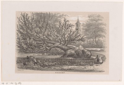 Zwalone drzewo w Koekamp, ​​po burzy z 28 maja 1860 r Koekamp (tytuł na obiekcie) Album dziesięciu litografowanych szkiców, przedstawiających Tooneelen Zniszczenia, Poruszony burzą z 28 maja 1860 r. w Gravenhaagsche Bosch, w Sche autorstwa Hendrik Wilhelmus Last