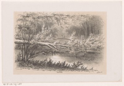 Drzewo zdmuchnięte, po burzy 28 maja 1860 Staw (tytuł na obiekcie) Album dziesięciu litografowanych szkiców, przedstawiających Tooneelena Zniszczenia, Poruszony burzą z 28 maja 1860 r. w Gravenhaagsche Bosch, w Scheveningen itp. ( autorstwa Hendrik Wilhelmus Last