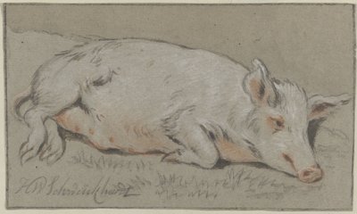 leżąca świnia autorstwa Hendrik Willem Schweickhardt (signed by artist)
