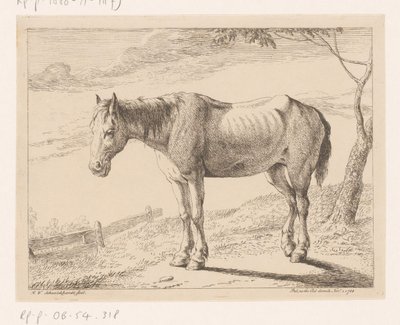Koń Różne zwierzęta (tytuł serii) autorstwa Hendrik Willem Schweickhardt