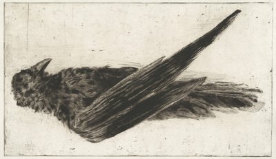 Duży wiszący kruk autorstwa Henri-Charles Guérard