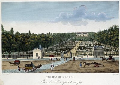 Widok na Jardin du Roi (Ogród Roślin) wzięty z mostu naprzeciwko - w „Widokach Paryża” Courvoisiera autorstwa Henri Courvoisier Voisin