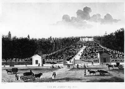 Widok z ogrodu królewskiego: ogród botaniczny w Paryżu - rycina Courvoisier autorstwa Henri Courvoisier Voisin