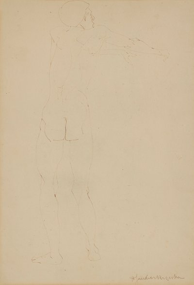Akt męski (długopis na papierze) autorstwa Henri Gaudier Brzeska
