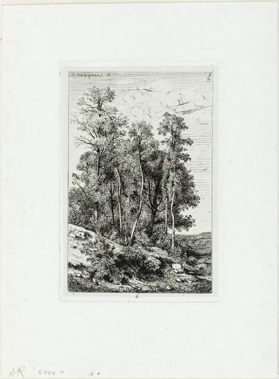 Brzozy i Dęby autorstwa Henri Joseph Harpignies