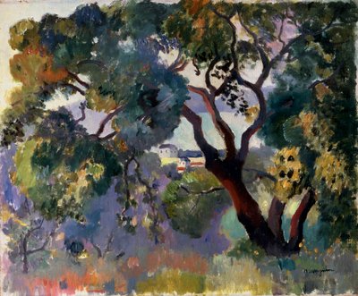 „Krajobraz w Saint-Tropez”, 1905. autorstwa Henri Manguin