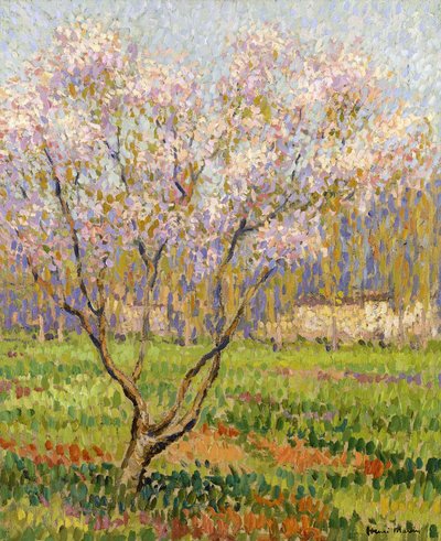 Jabłoń w Kwiecie; kwiaty jabłoni, autorstwa Henri Martin