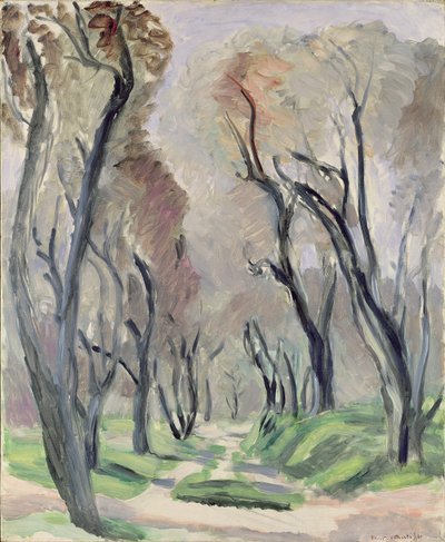Aleja Drzew Oliwnych autorstwa Henri Matisse