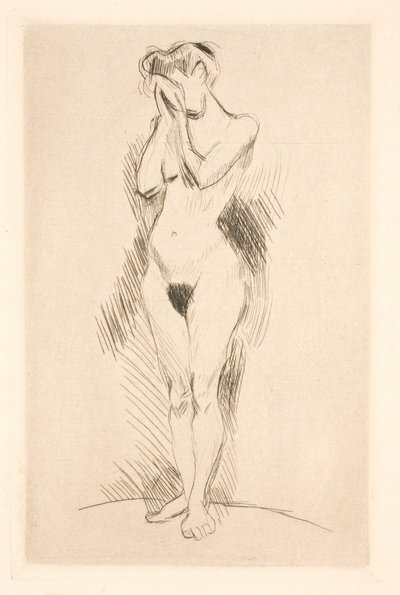  autorstwa Henri Matisse