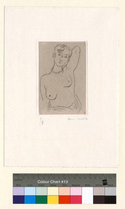  autorstwa Henri Matisse