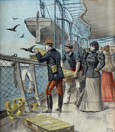  autorstwa Henri Meyer