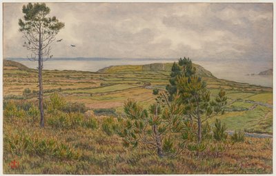 Zatoka Douarnenez. Morgat autorstwa Henri Rivière