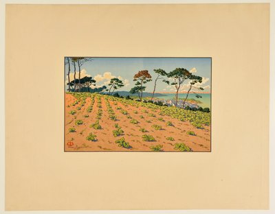 [Douarnenez widziane z drogi Ris] autorstwa Henri Rivière