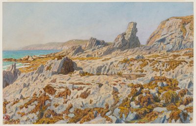 Pors Léonnec podczas odpływu. Morgat autorstwa Henri Rivière