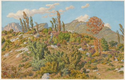 Płaskowyże Barberaz autorstwa Henri Rivière