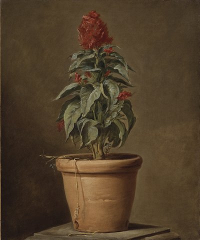 Roślina doniczkowa autorstwa Henri Roland de la Porte