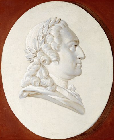 Portret króla Ludwika XV, do biustu, w malowanym owalu, medalion Trompe l