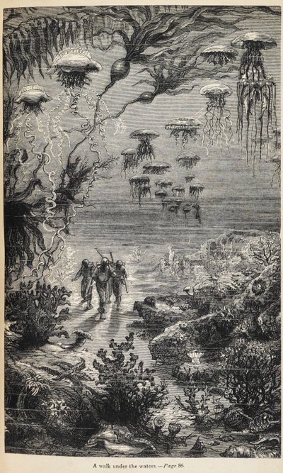 Ilustracja do „20 000 lig podmorskich” autorstwa Juliusza Verne’a autorstwa Henri Theophile Hildibrand