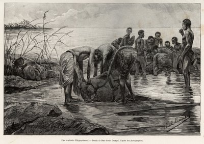 Hipopotamowy sklep mięsny nad brzegiem rzeki w Afryce Środkowej. Grawer Henri Thiriata ilustrujący historię „La mission Crampel” Alberta Nebouta (1862-1939), w 1890, w Le tour du Monde 1892, reżyseria: Edouard Charton (1807-1891), Hachette, Pa autorstwa Henri Thiriat