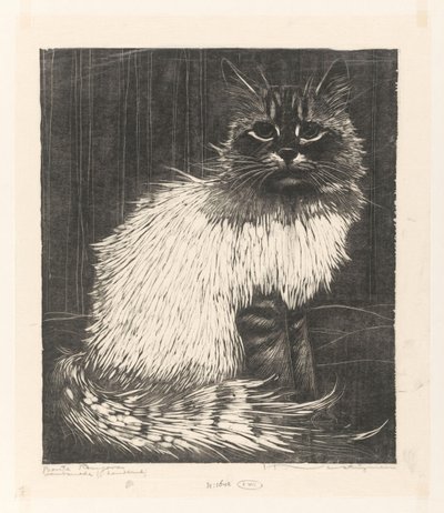 Bonte Angora (oryginalny tytuł na obiekcie) autorstwa Henri Verstijnen (signed by artist)