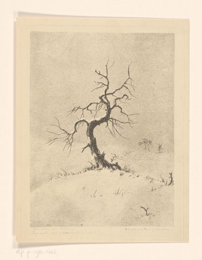 Lonely Tree (oryginalny tytuł na obiekcie) autorstwa Henri Verstijnen (signed by artist)