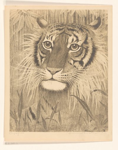 Głowa tygrysa autorstwa Henri Verstijnen (signed by artist)