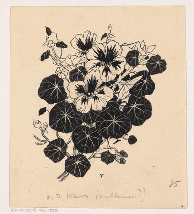 Wiśnia Wschodnioindyjska autorstwa Henri Verstijnen (signed by artist)