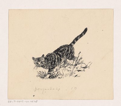 Kat autorstwa Henri Verstijnen
