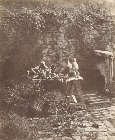 Martwa natura- Kociołek, dzbanek i warzywa na kozłowym stole autorstwa Henri Victor Regnault