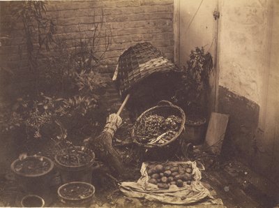 [Martwa natura z koszami słomy, miotłą, otwartym workiem ziemniaków i roślinami doniczkowymi]. autorstwa Henri Victor Regnault