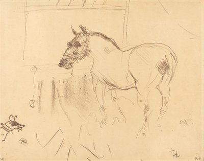 Mały kucyk z Calmese autorstwa Henri de Toulouse Lautrec