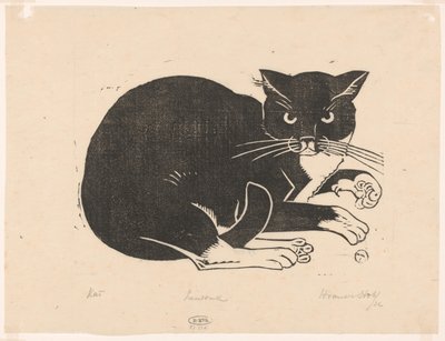 Kat (oryginalny tytuł na obiekcie) autorstwa Henri van der Stok (signed by artist)