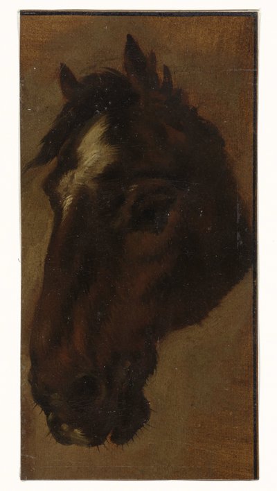 głowa konia autorstwa Henriëtte Ronner