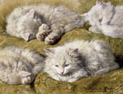 Badania nad długowłosym białym kotem, 1896 autorstwa Henriëtte Ronner Knip