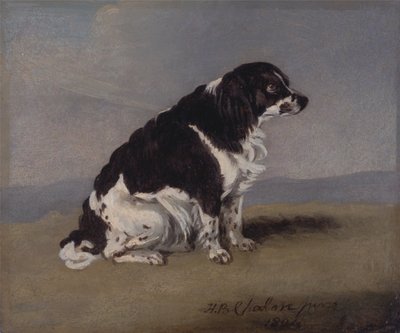 Spaniel księżnej Yorku autorstwa Henry Bernard Chalon