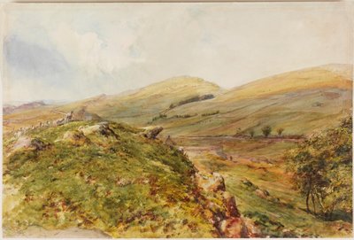 Cockmount Hill (kolor nadwozia) autorstwa Henry Burdon Richardson