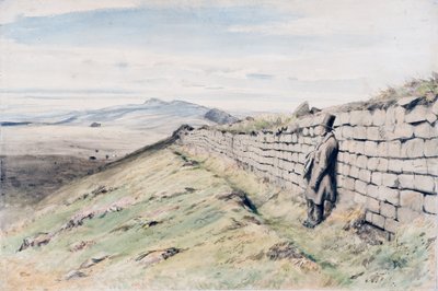 Cockmount Hill (ołówek, toaleta i gwasz na papierze, na kartonie) autorstwa Henry Burdon Richardson