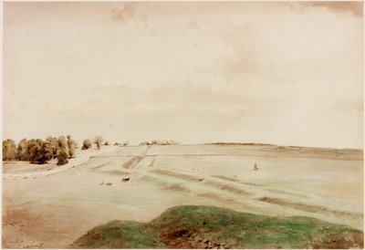 Down Hill, Northumberland (kolor nadwozia) autorstwa Henry Burdon Richardson