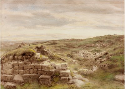 Zagrody (kolor nadwozia) autorstwa Henry Burdon Richardson