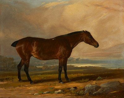 Studium łowcy zatoki w krajobrazie (olej na płótnie) autorstwa Henry Calvert